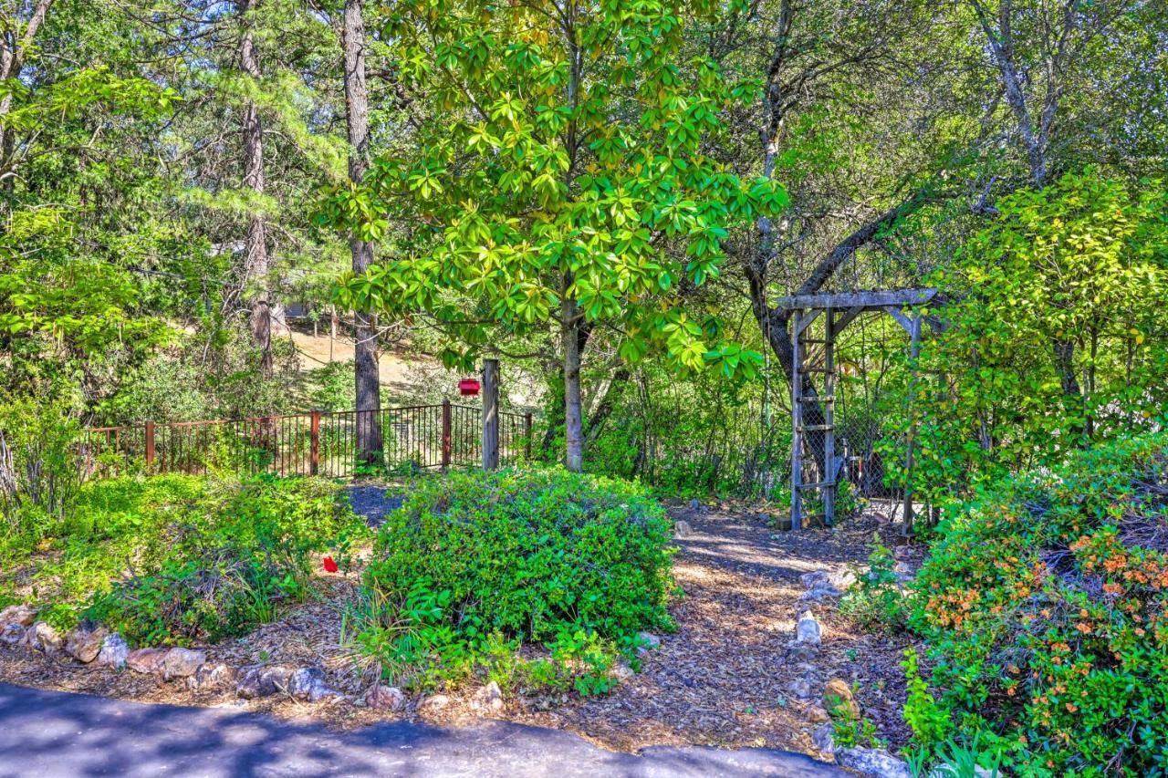 Beautiful Cottage, Steps To Downtown Murphys! Exterior foto